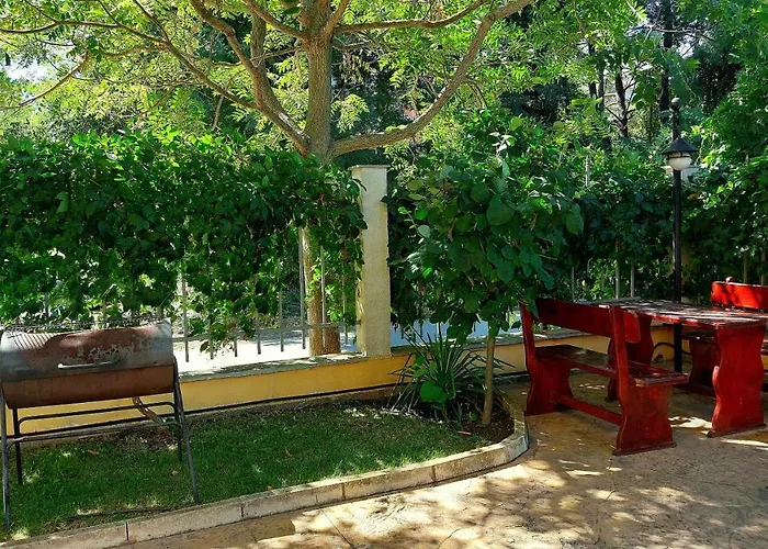 Summer Dreams - Menada * Slăntjev Brjag